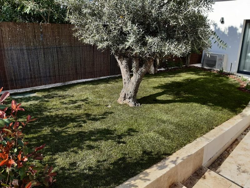 182388079_3891789384237159_7252217086187151535_n