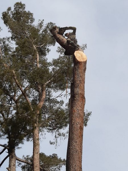 WhatsApp Image 2022-04-07 at 20.59.51