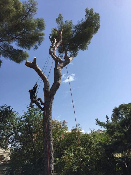 WhatsApp Image 2022-04-07 at 20.59.56-4