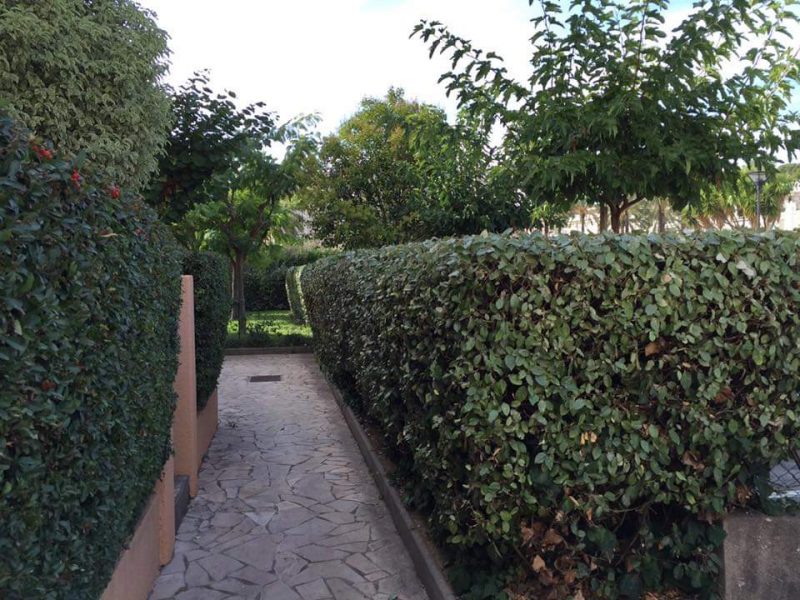 WhatsApp Image 2022-04-07 at 20.59.57