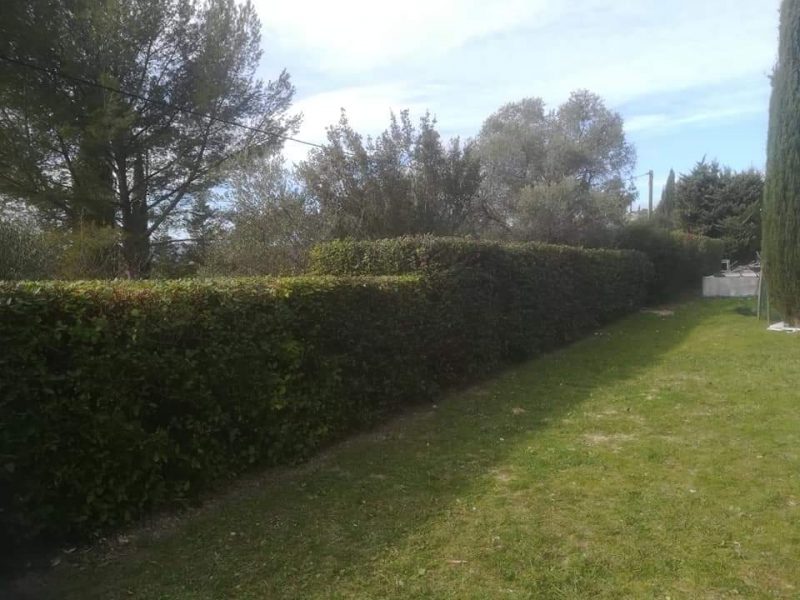 WhatsApp Image 2022-04-07 at 20.59.59-4