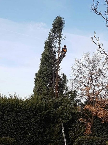 WhatsApp Image 2022-04-07 at 21.00.00